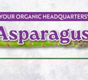 Image https://www.naturalgrocers.com/sites/default/files/styles/resource_finder_176x160/public/media_images/18774_2024_March_eHHL_FLOO_Asparagus_Thumbnail_676x326.jpg?itok=vP1-WOCW